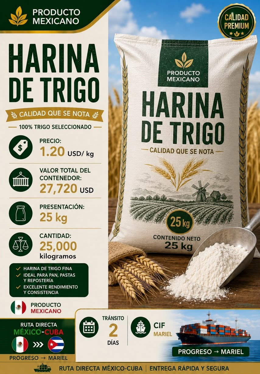Harina de Trigo (100% Trigo Seleccionado) - Opción 1