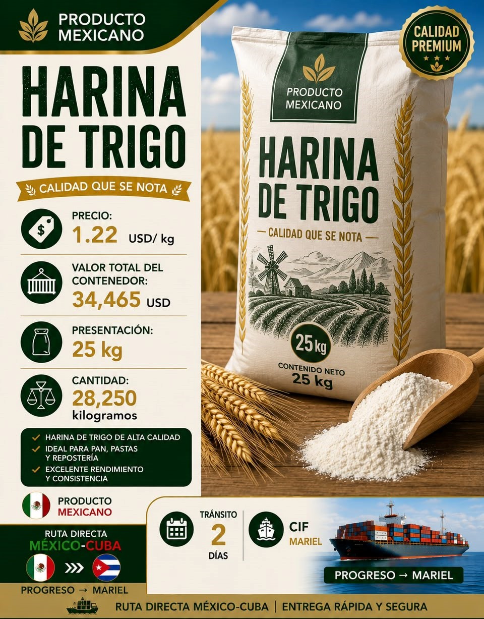 Harina de Trigo - Opción 2
