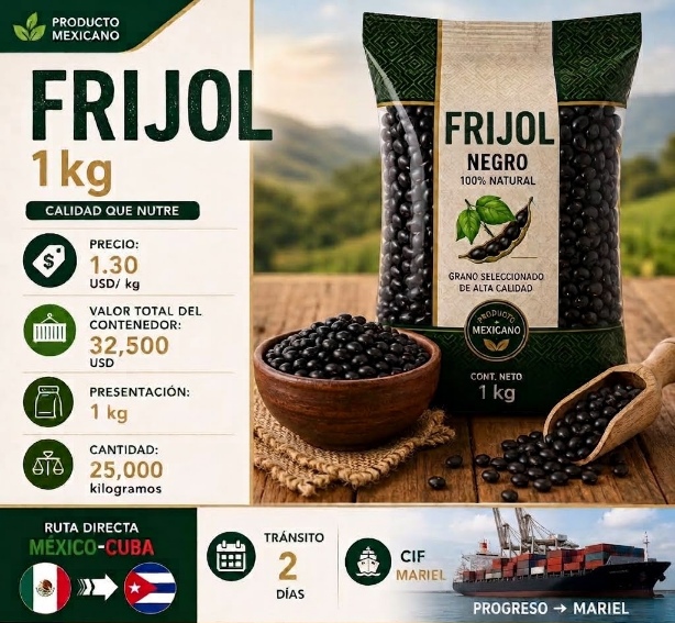 Frijol Negro 100% Natural (1 kg)